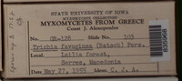 Image Associated With the Occurence